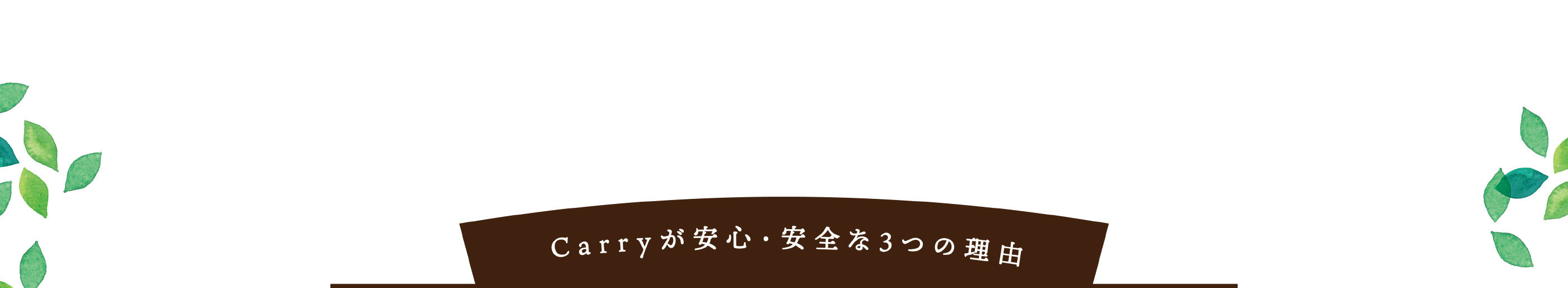 Carryが安心・安全な3つの理由