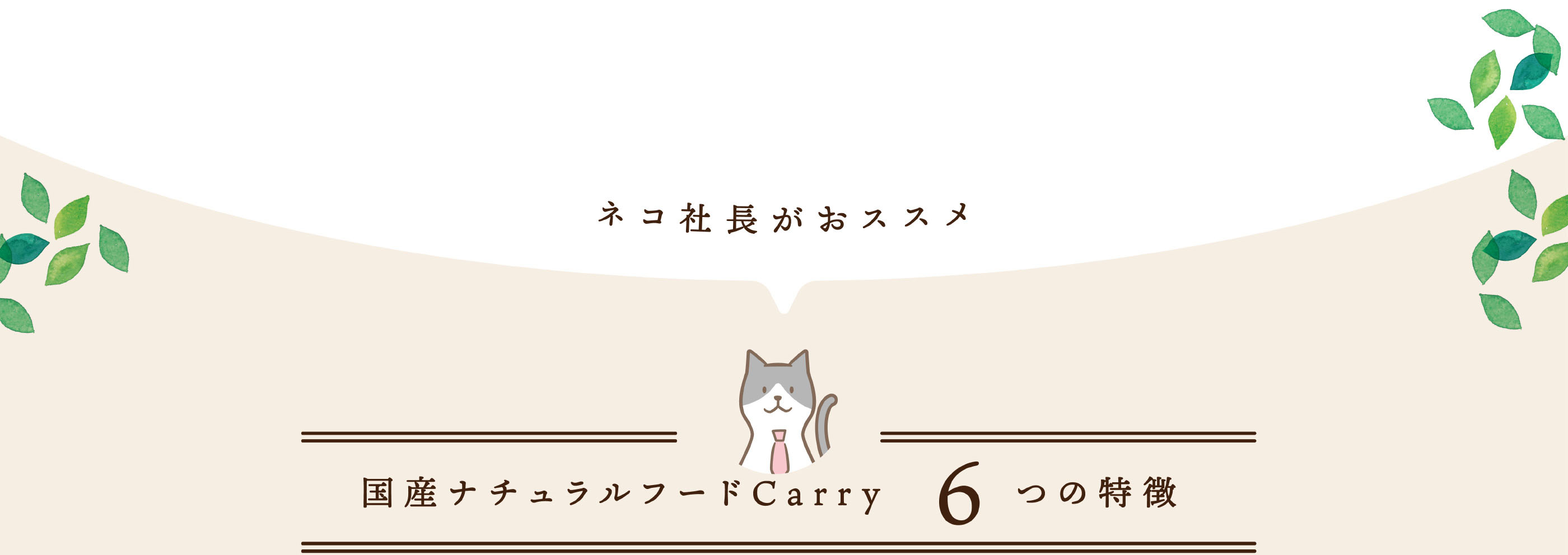 国産ナチュラルフードCarry 6つの特徴