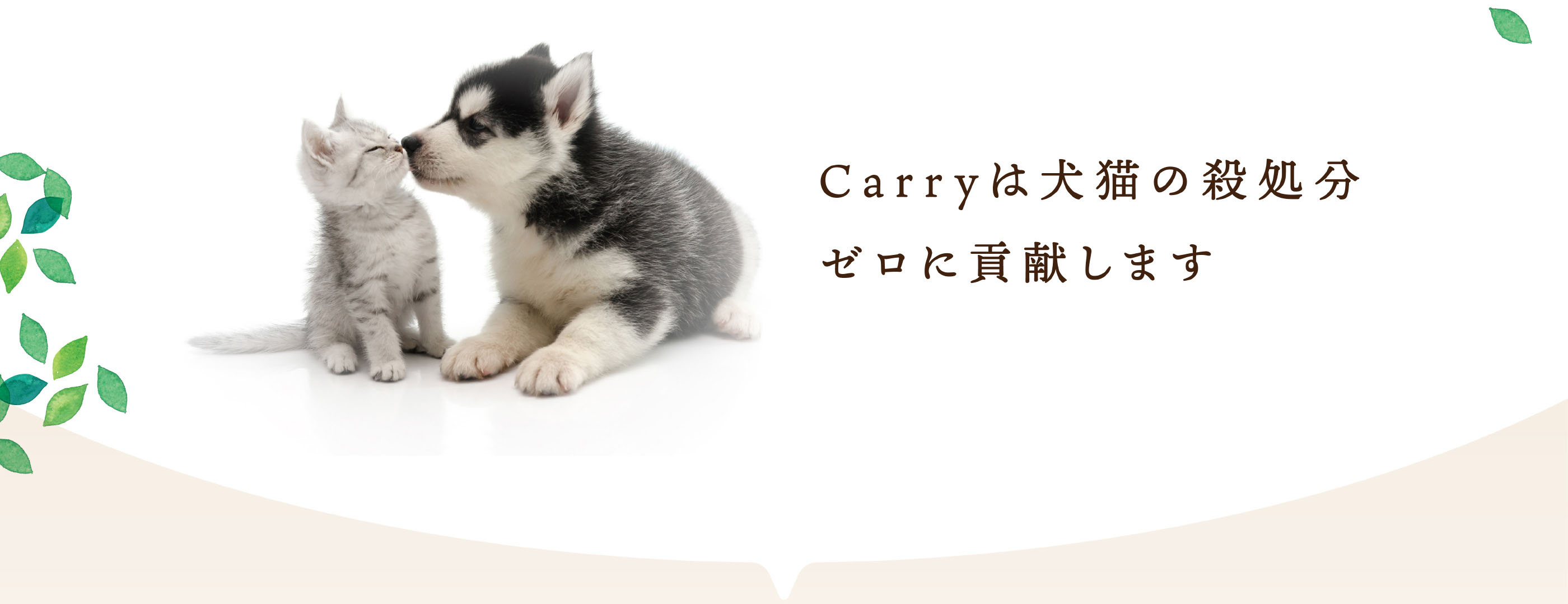 Carryは犬猫の殺処分ゼロに貢献します