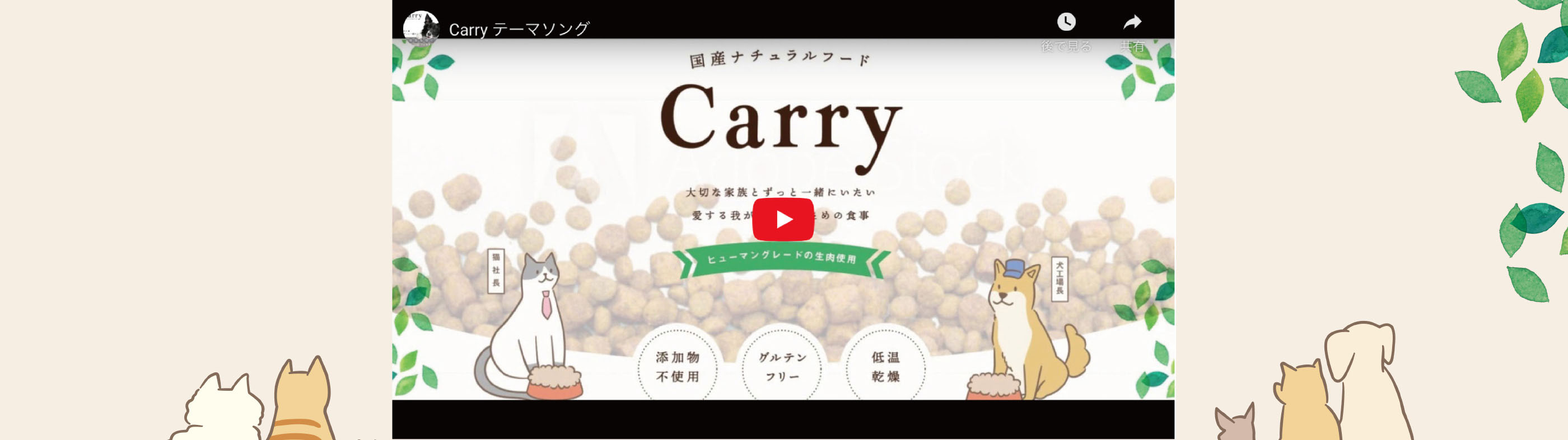 Carryに公式テーマソングができましたの動画