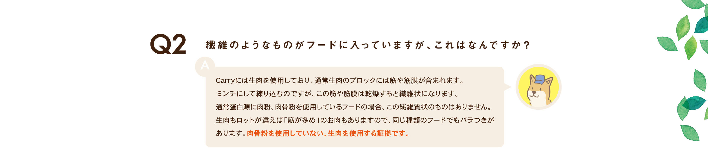 繊維のようなものがフードに入っていますが、これはなんですか？ / Carryには生肉を使用しており、通常生肉のブロックには筋や筋膜が含まれます。ミンチにして練り込むのですが、この筋や筋膜は乾燥すると繊維状になります。通常蛋白源に肉粉、肉骨粉を使用しているフードの場合、この繊維質状のものはありません。生肉もロットが違えば「筋が多め」のお肉もありますので、同じ種類のフードでもバラつきがあります。肉骨粉を使用していない、生肉を使用する証拠です。