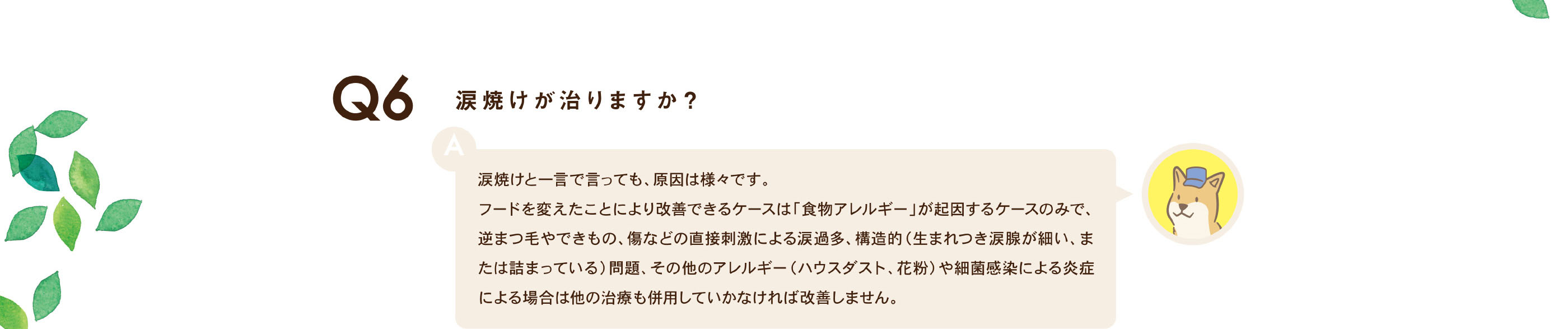 涙焼けが治りますか？ / 涙焼けと一言で言っても、原因は様々です。フードを変えたことにより改善できるケースは「食物アレルギー」が起因するケースのみで、逆まつ毛やできもの、傷などの直接刺激による涙過多、構造的（生まれつき涙腺が細い、または詰まっている）問題、その他のアレルギー（ハウスダスト、花粉）や細菌感染による炎症による場合は他の治療も併用していかなければ改善しません。