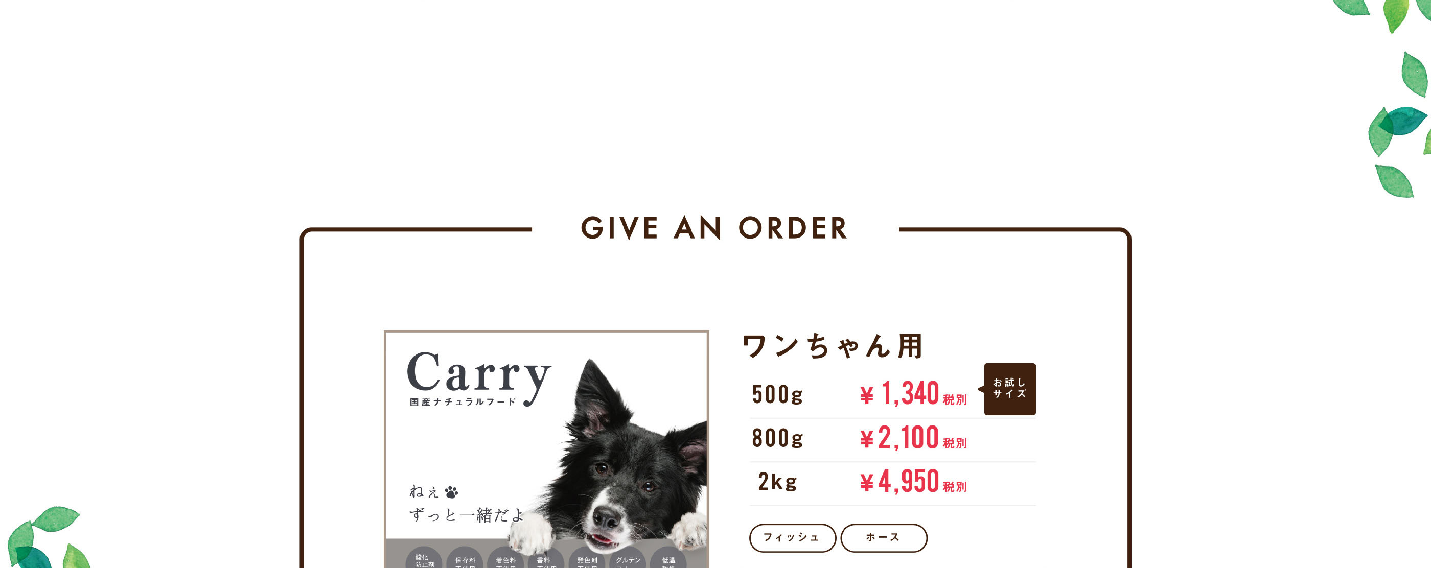 ワンちゃん用国産ナチュラルフードCarry